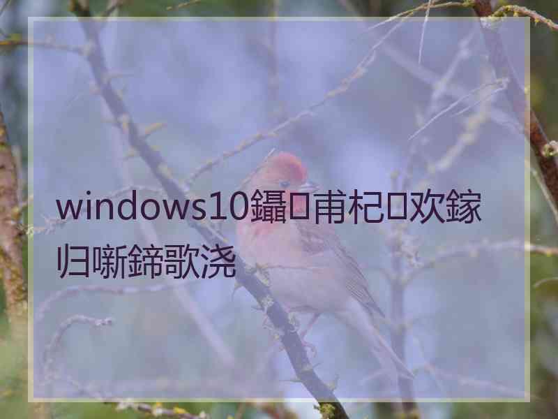 windows10鑷甫杞欢鎵归噺鍗歌浇