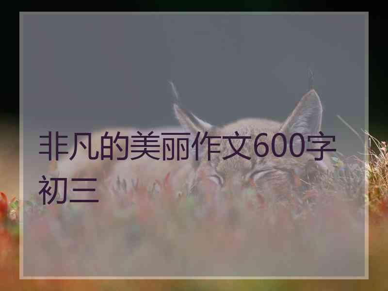 非凡的美丽作文600字初三