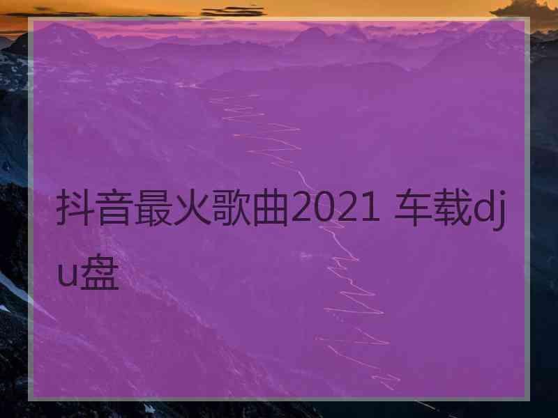 抖音最火歌曲2021 车载dj u盘