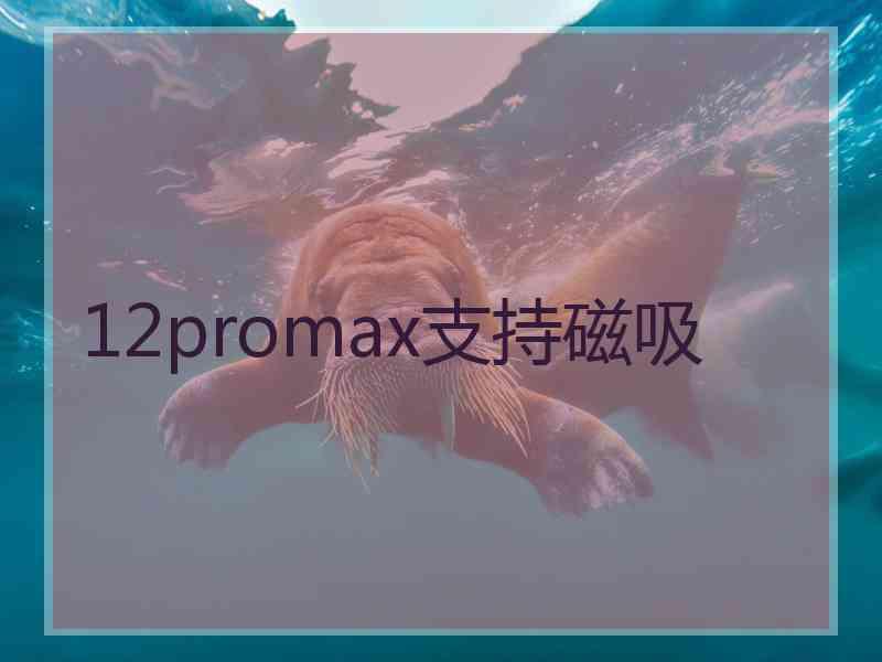 12promax支持磁吸