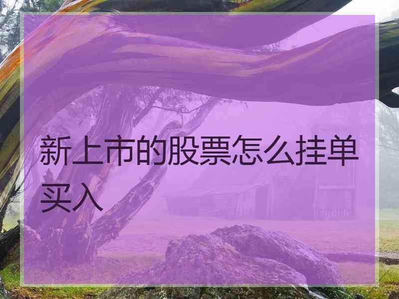 新上市的股票怎么挂单买入