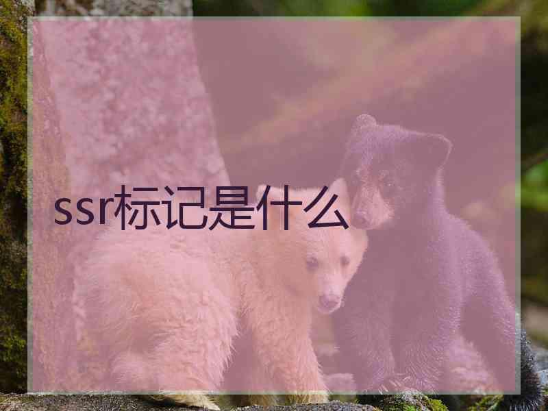 ssr标记是什么