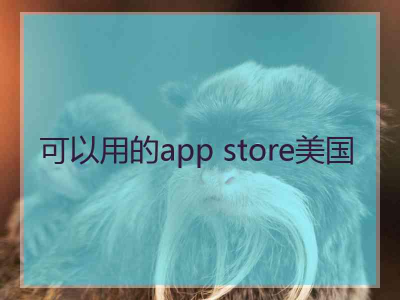 可以用的app store美国