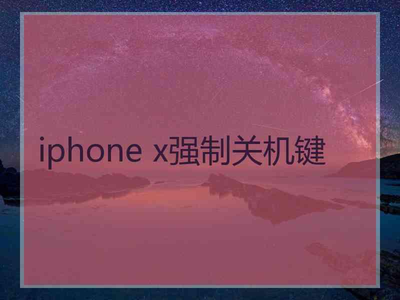 iphone x强制关机键