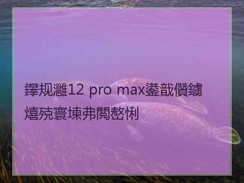 鑻规灉12 pro max鍙戠儹鐪熺殑寰堜弗閲嶅悧