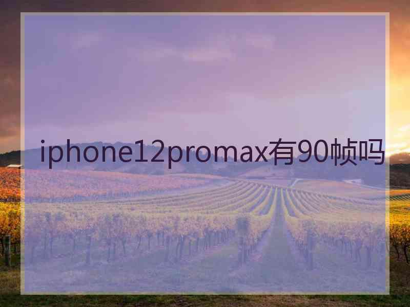 iphone12promax有90帧吗