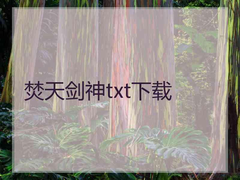 焚天剑神txt下载