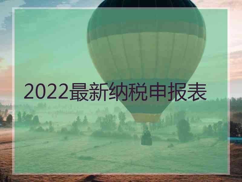 2022最新纳税申报表