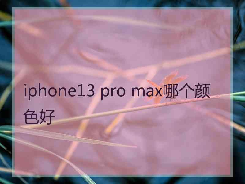 iphone13 pro max哪个颜色好