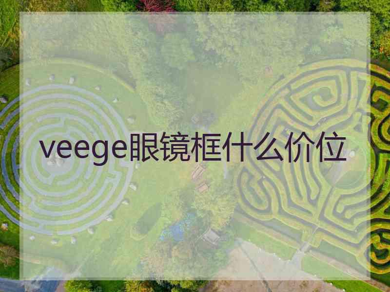 veege眼镜框什么价位