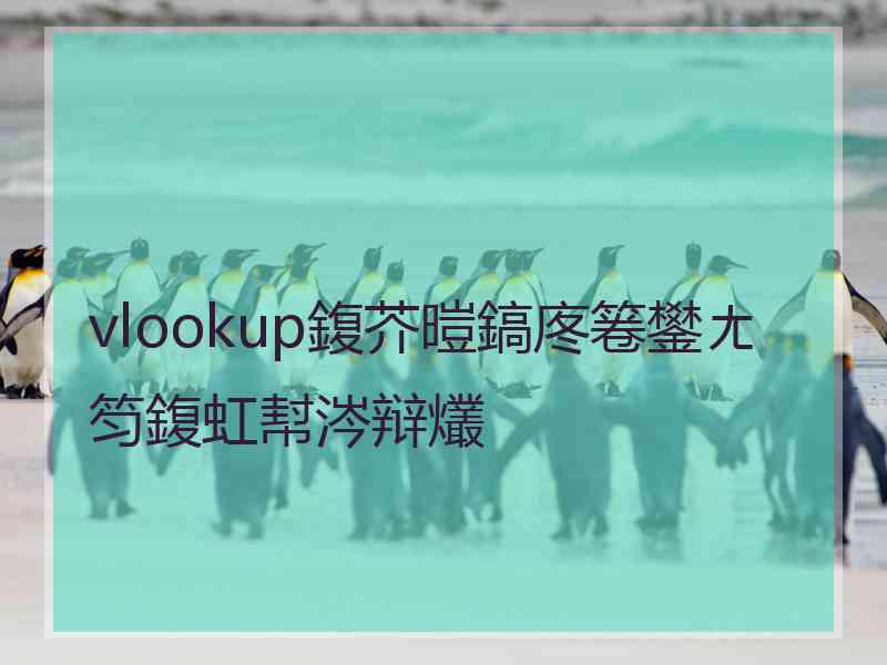 vlookup鍑芥暟鎬庝箞鐢ㄤ笉鍑虹幇涔辩爜