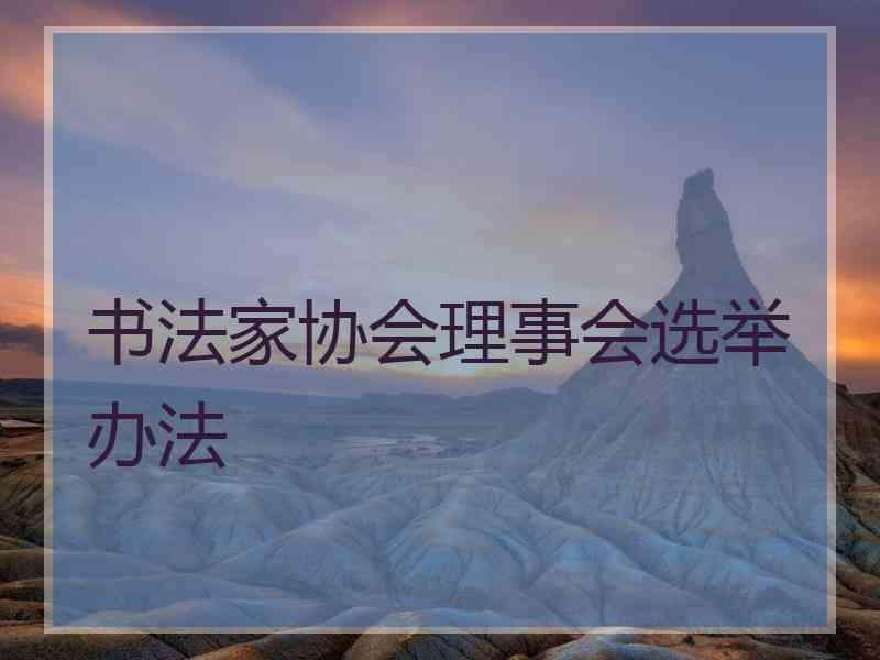 书法家协会理事会选举办法