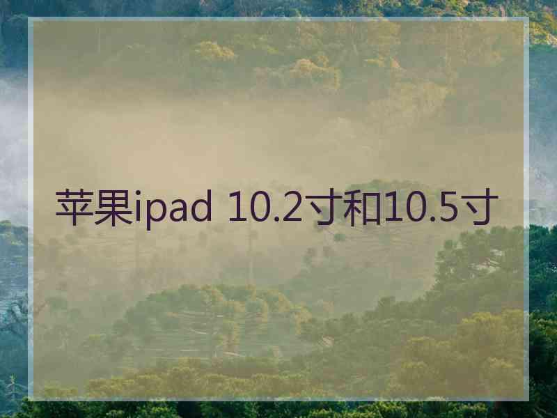 苹果ipad 10.2寸和10.5寸