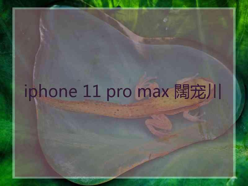 iphone 11 pro max 闊宠川