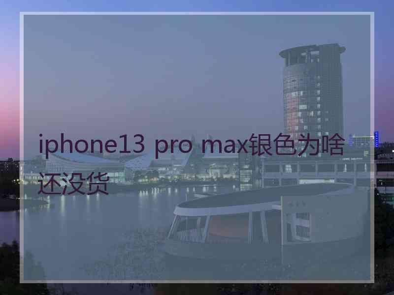 iphone13 pro max银色为啥还没货