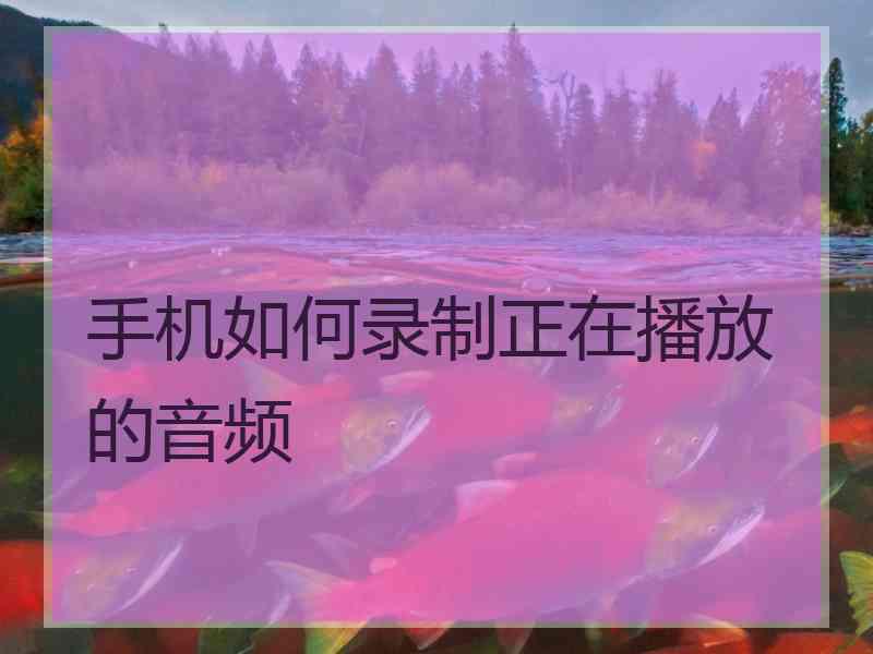 手机如何录制正在播放的音频