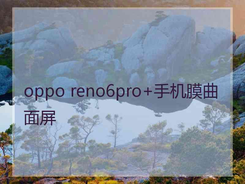 oppo reno6pro+手机膜曲面屏