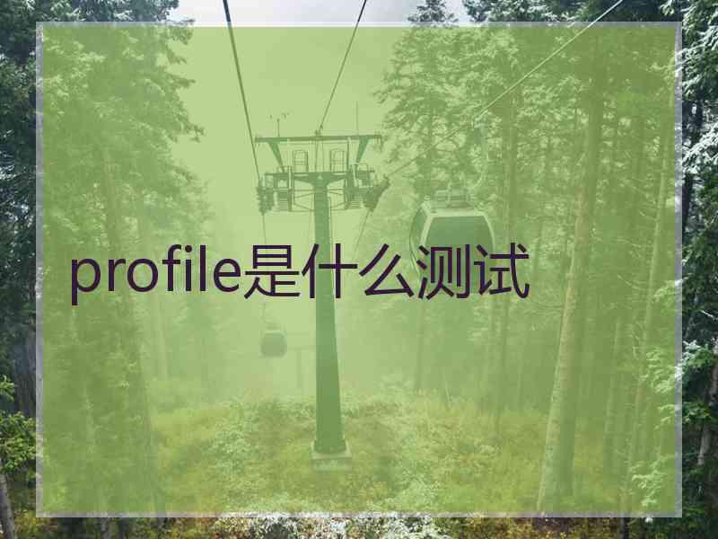 profile是什么测试