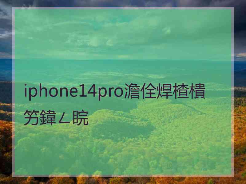 iphone14pro澹佺焊楂樻竻鍏ㄥ睆