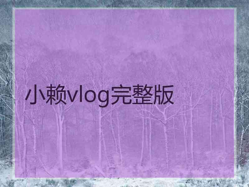 小赖vlog完整版