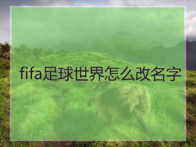 fifa足球世界怎么改名字