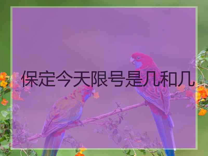 保定今天限号是几和几