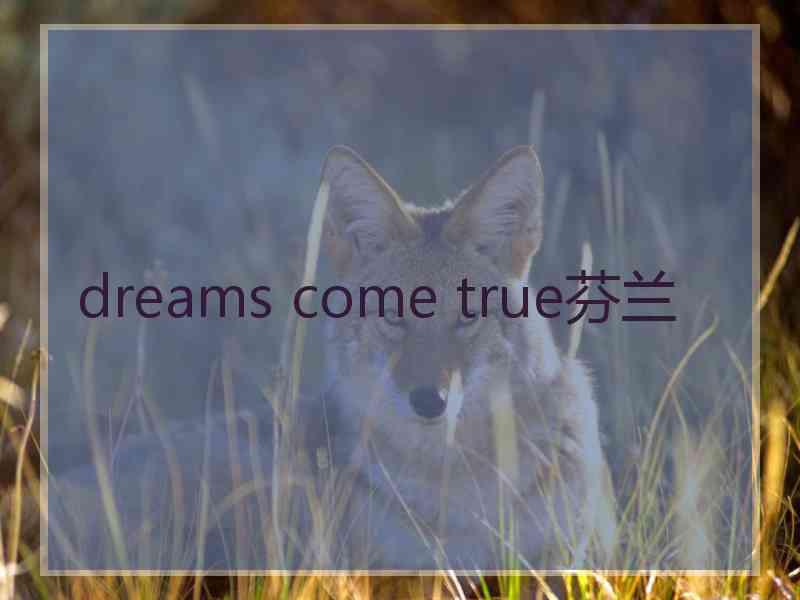 dreams come true芬兰