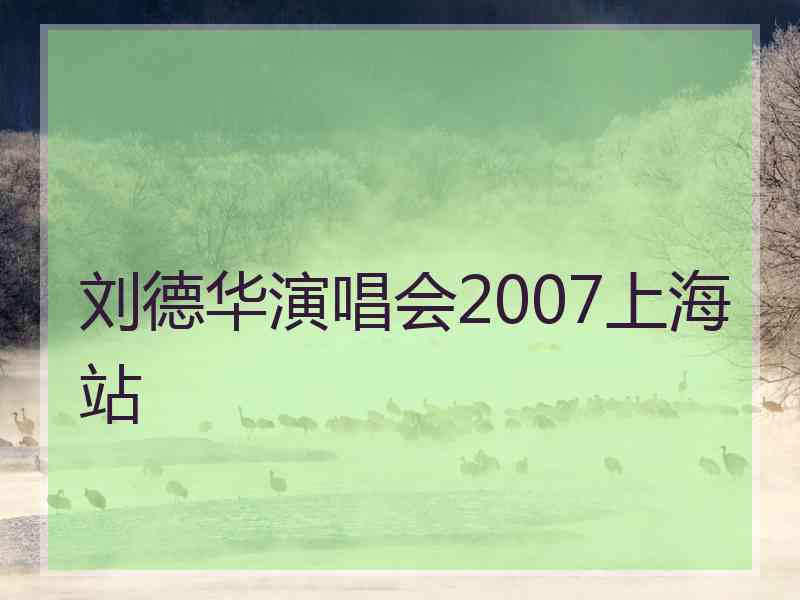 刘德华演唱会2007上海站