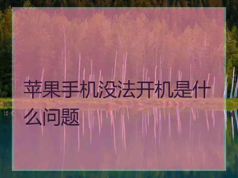 苹果手机没法开机是什么问题