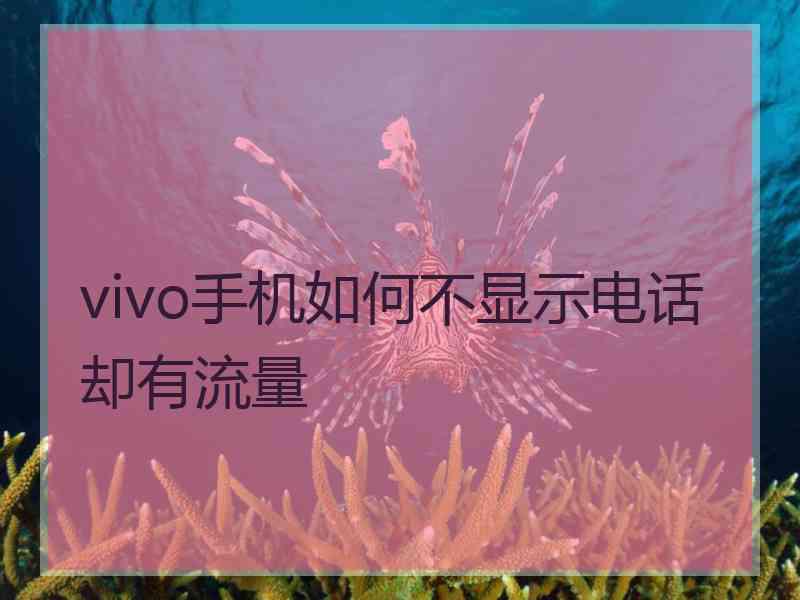 vivo手机如何不显示电话却有流量