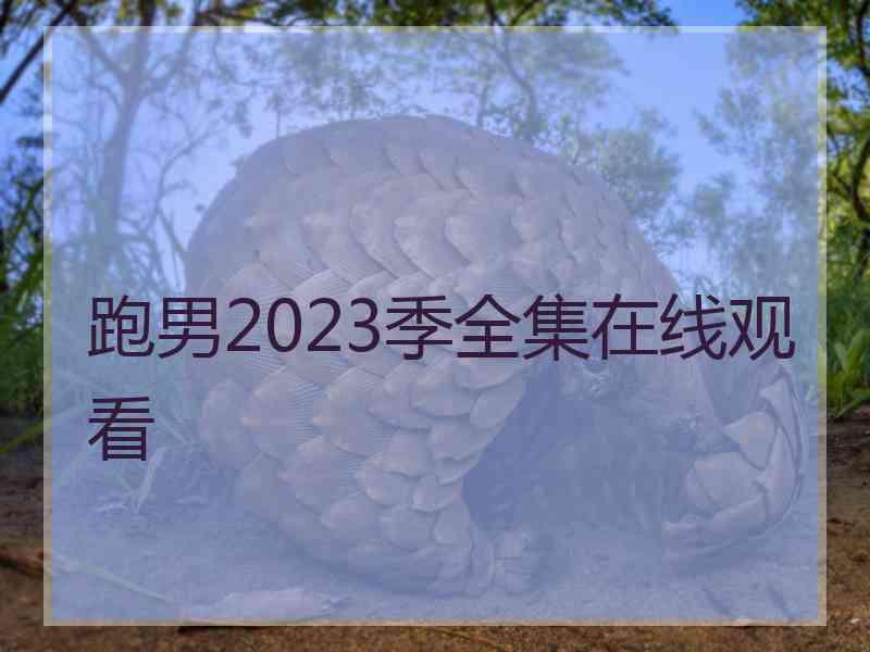 跑男2023季全集在线观看