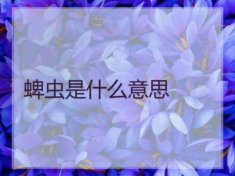 蜱虫是什么意思