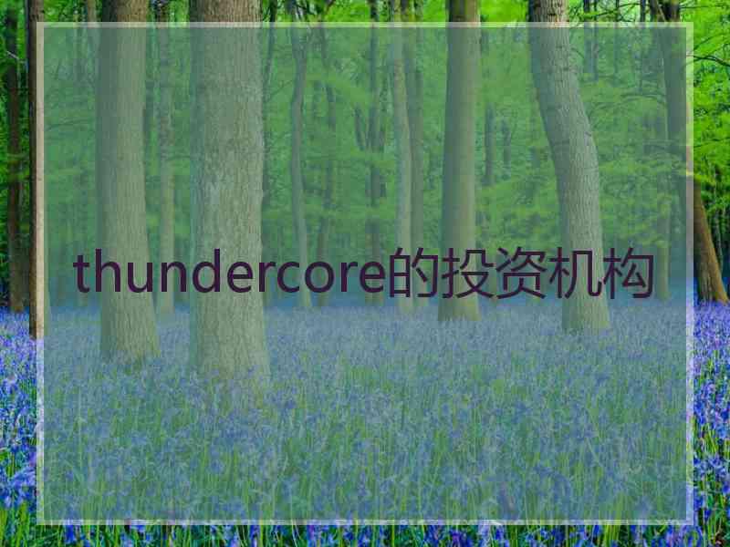 thundercore的投资机构