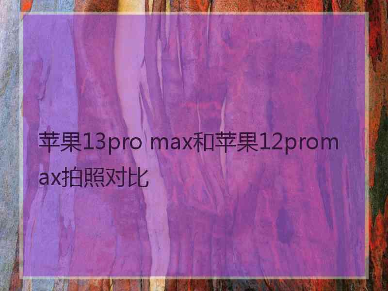 苹果13pro max和苹果12promax拍照对比