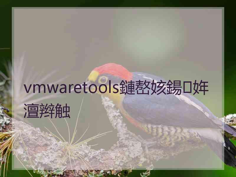 vmwaretools鏈嶅姟鍚姩澶辫触