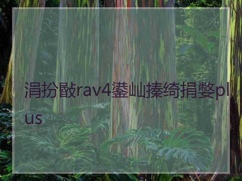 涓扮敯rav4鍙屾搸绮捐嫳plus