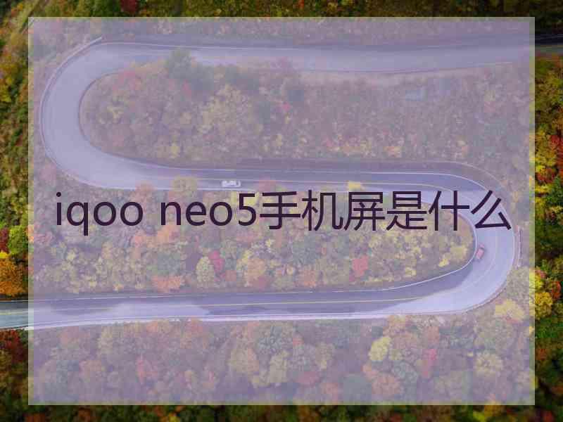 iqoo neo5手机屏是什么