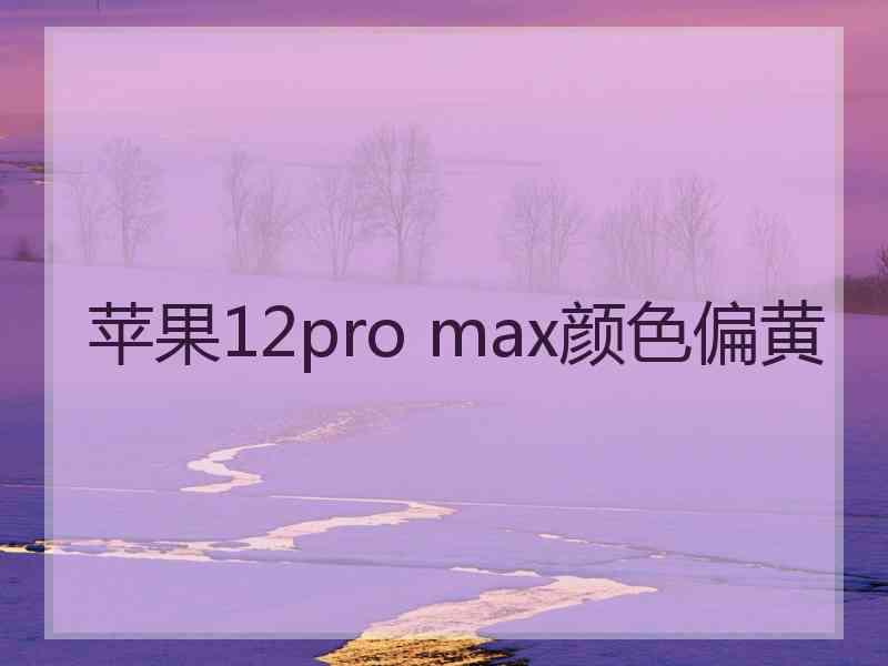 苹果12pro max颜色偏黄