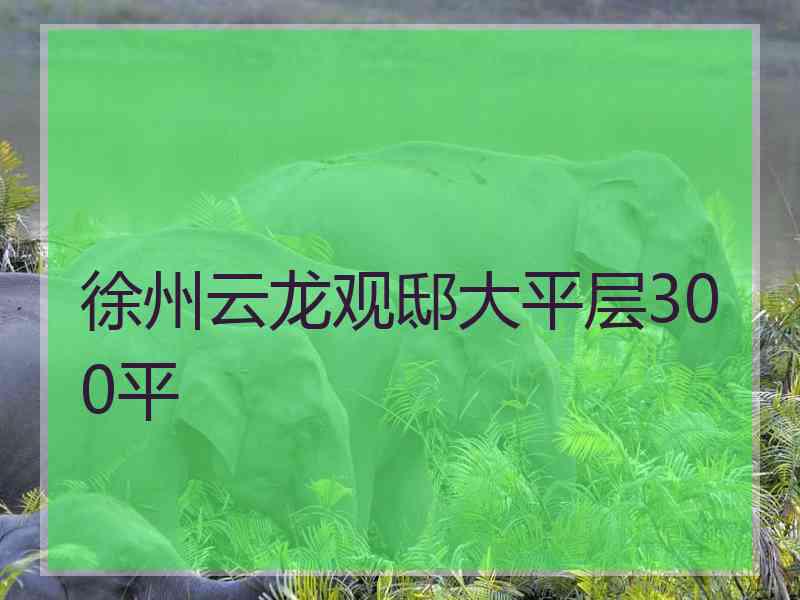 徐州云龙观邸大平层300平