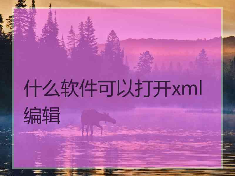 什么软件可以打开xml编辑