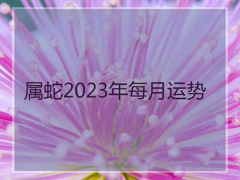 属蛇2023年每月运势