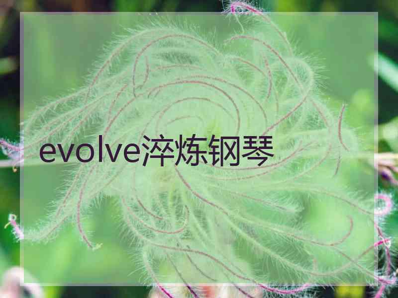 evolve淬炼钢琴