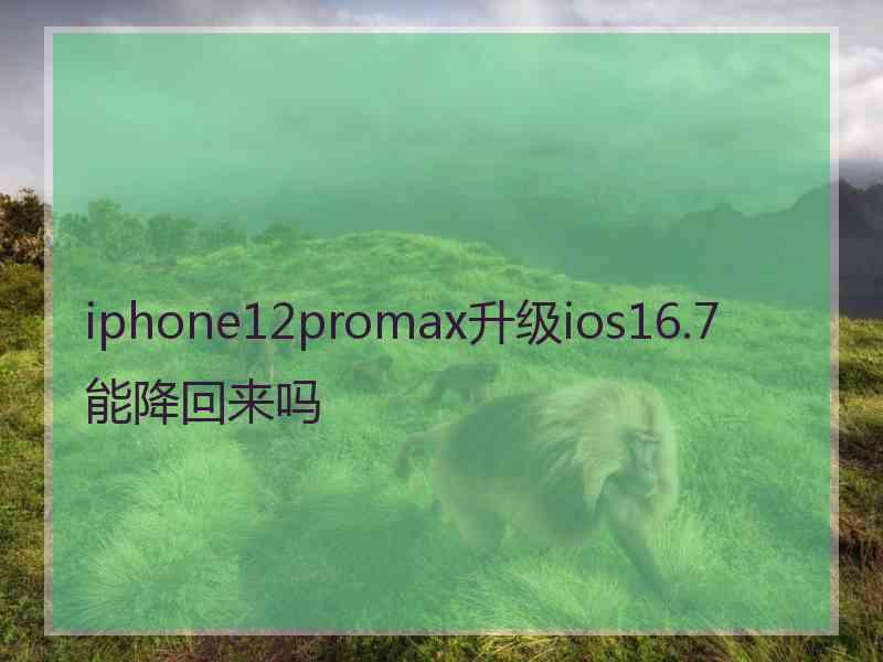 iphone12promax升级ios16.7能降回来吗