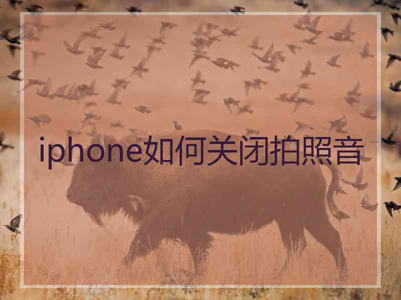 iphone如何关闭拍照音