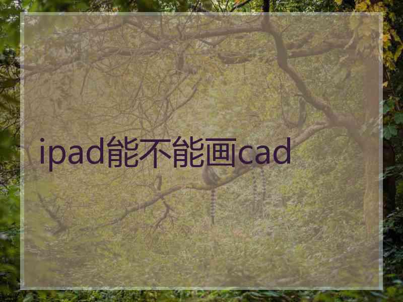 ipad能不能画cad