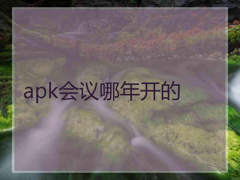 apk会议哪年开的