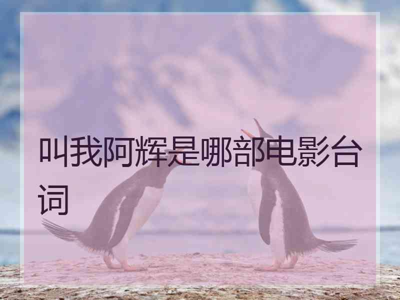 叫我阿辉是哪部电影台词