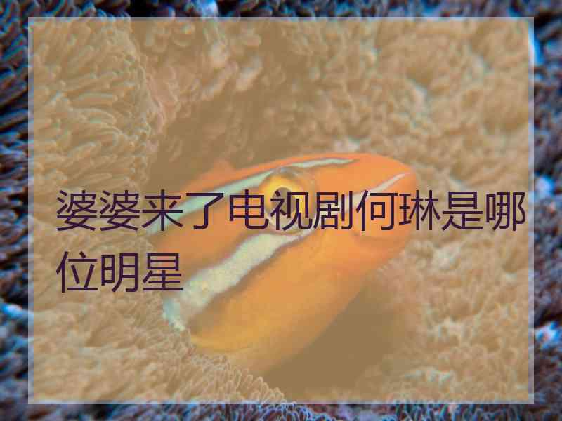 婆婆来了电视剧何琳是哪位明星