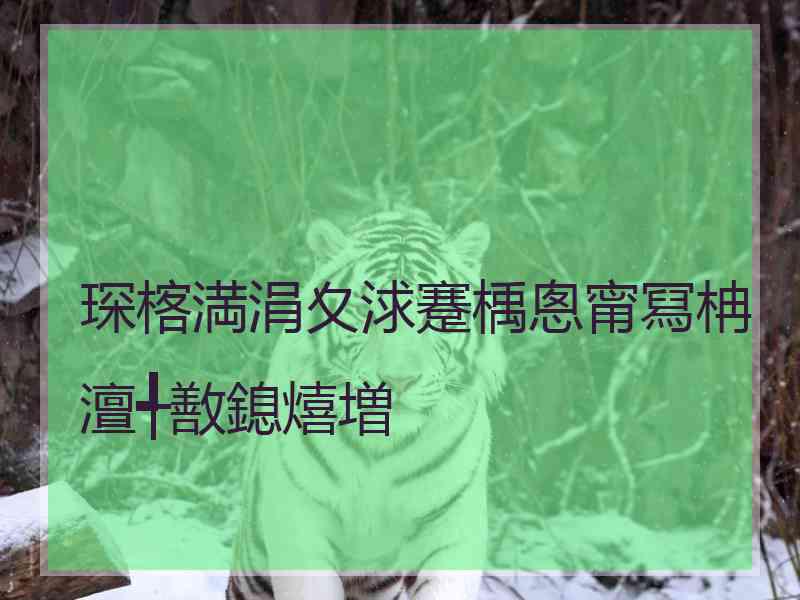 琛楁満涓夊浗蹇楀悤甯冩柟澶╃敾鎴熺増