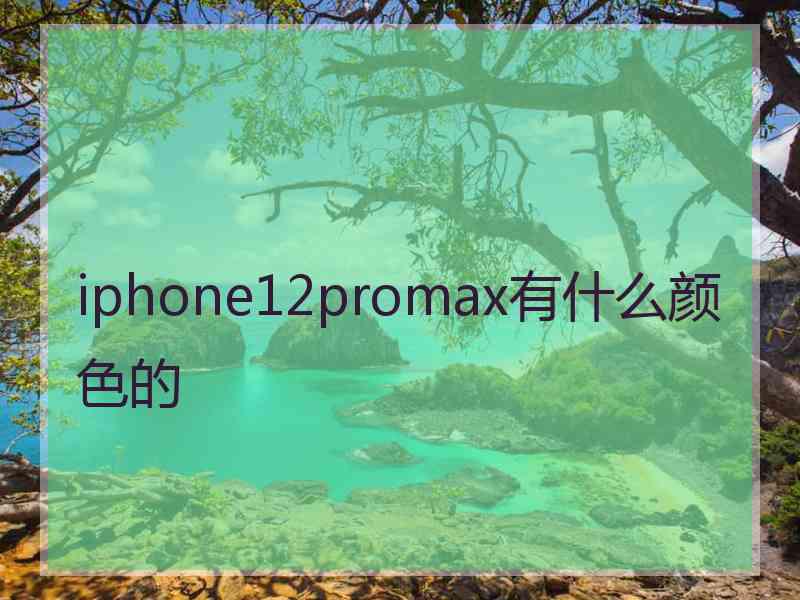 iphone12promax有什么颜色的